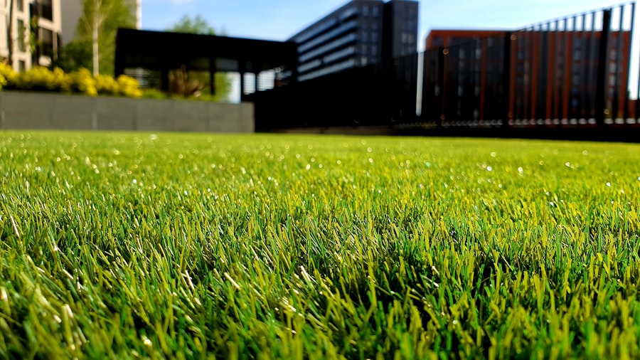 Lush, freshly cut green lawn